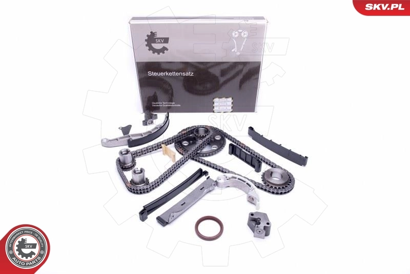 Timing Chain Kit